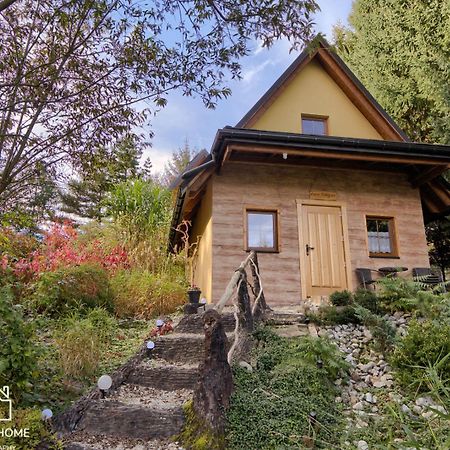 Oaza Tatry III Villa Zakopane Ngoại thất bức ảnh